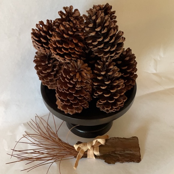 ❗5 For $2️⃣5️⃣ Bundle Sale❗️ Natural Source Pine Cones ~ Bag of 12 for Crafting - Picture 2 of 9